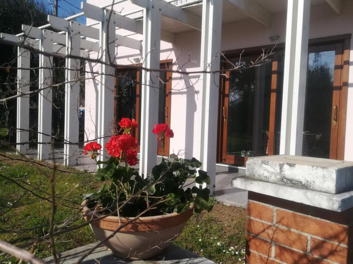 La Rosa Bio Bed And Breakfast Монтиньйозо Экстерьер фото